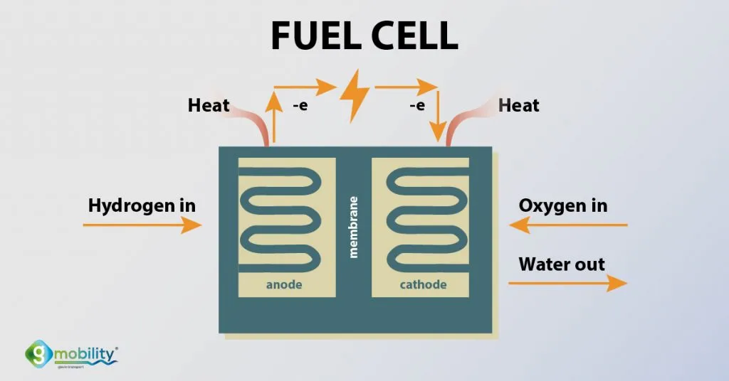 Fuel Cell အတွင်းမှာ အမဖက်က ဟိုက်ဒရိုဂျင် ဓါတ်ငွေ့သွင်းလိုက်ပြီး အဖိုဖက်က အောက်ဆီဂျင်ဓါတ်ငွေ့ သွင်းပေးပါတယ်